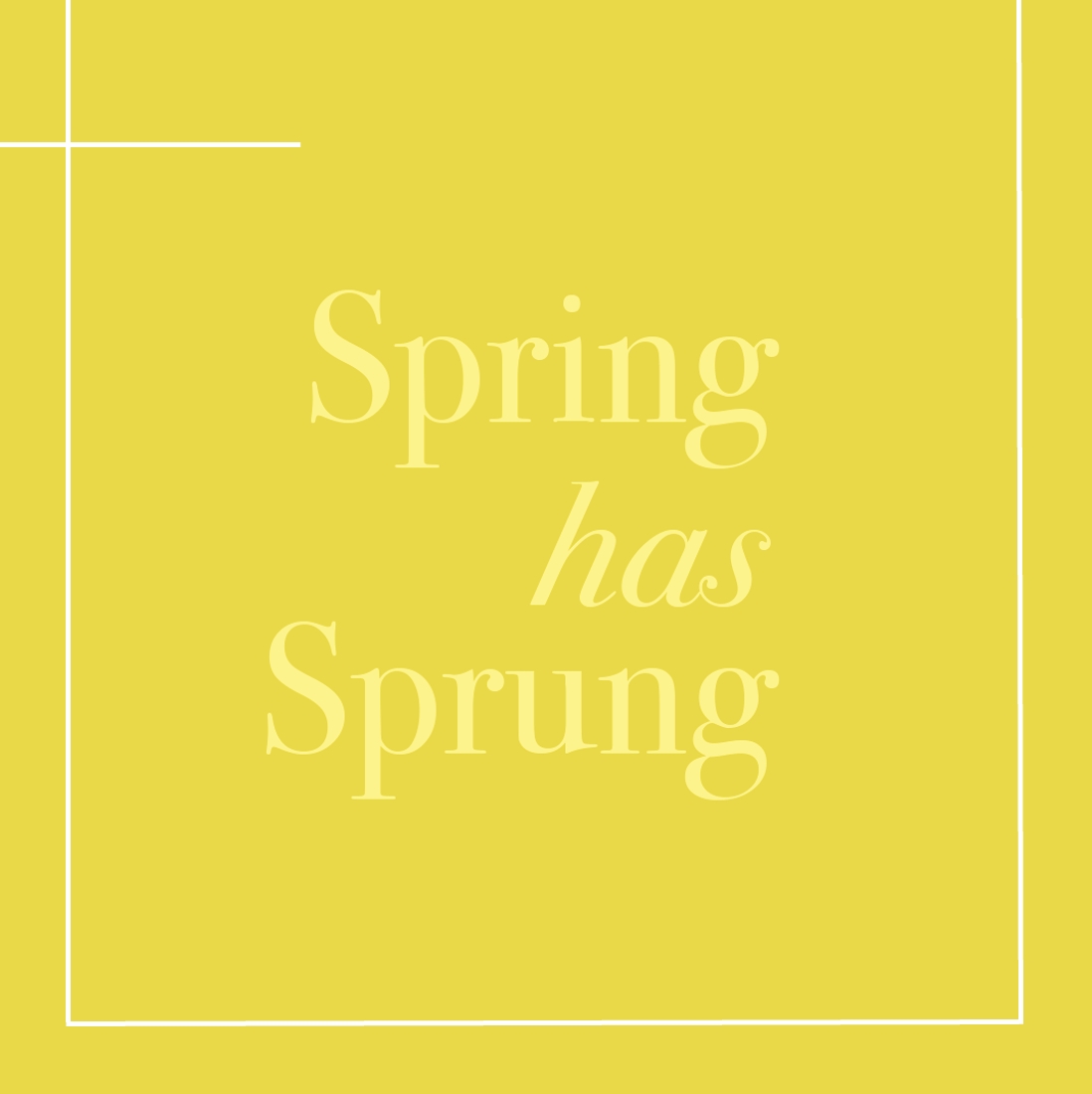Spring has Sprung